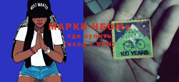 стаф Новозыбков