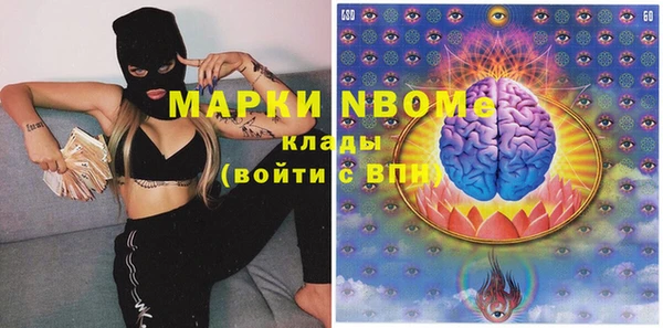 соль ск Бикин