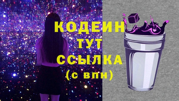 соль ск Бикин