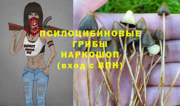 стаф Новозыбков