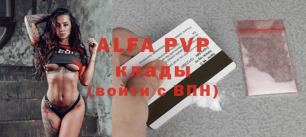 стаф Новозыбков
