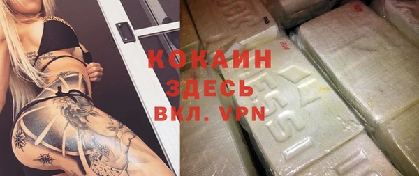 стаф Новозыбков