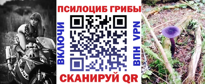 Галлюциногенные грибы MAGIC MUSHROOMS  магазин продажи наркотиков  Ядрин 